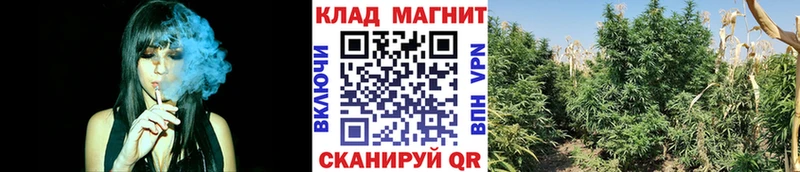 Где купить наркотики Пучеж Альфа ПВП ГАШ Конопля Псилоцибиновые грибы COCAIN