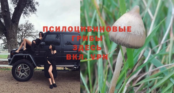 MDMA Армянск