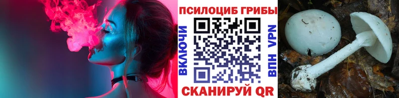 дарк нет клад  mega сайт  Псилоцибиновые грибы мицелий  Пучеж  даркнет сайт 