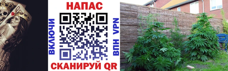 мега ссылки Пучеж Конопля LSD WEED